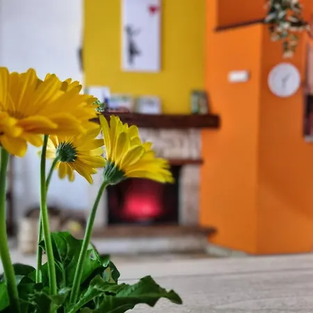 La Casina Di Sotto Apartman Castelnuovo di Garfagnana